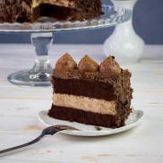 Dort «Lanýžová» - 2 