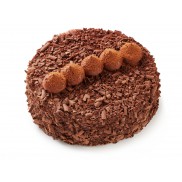 Dort «Lanýžová» - 1 