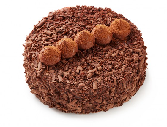 Dort «Lanýžová» - 1 