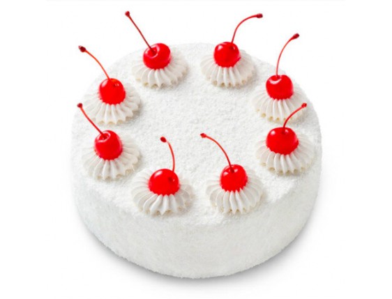 Dort «Zimní višeň» - 1 